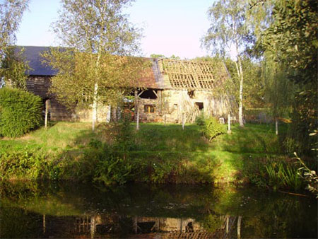 IMGP1154